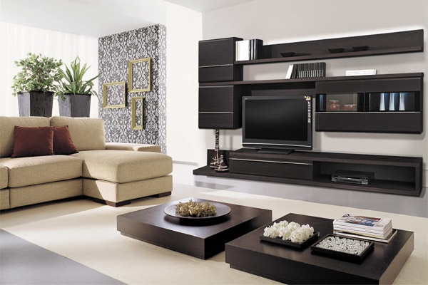 Mur sombre dans le salon