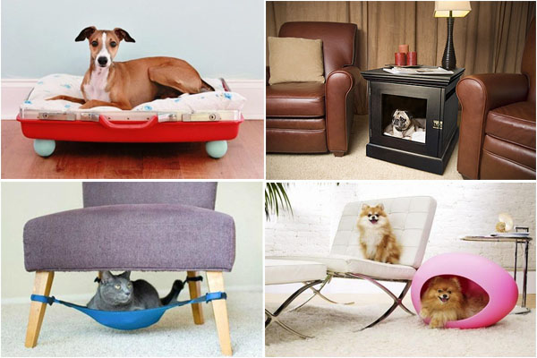 Mobilier confortable pour les animaux