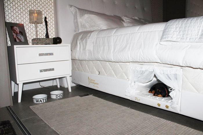 Espace lit pour un animal