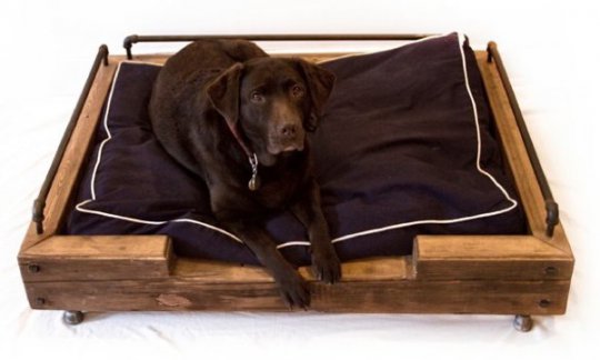 Éléments en bois pour chiens endormis