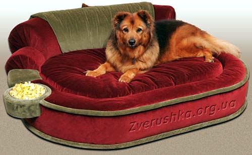 Canapé - lit pour chien