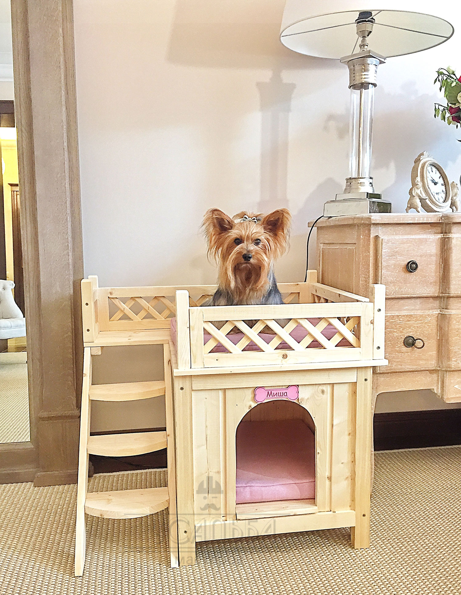 Maison pour le Yorkshire Terrier