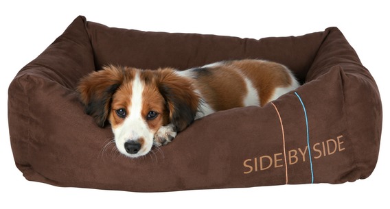 Comment faire un lit de bricolage pour qu'un animal dorme