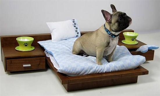 Lit pour chien naturel