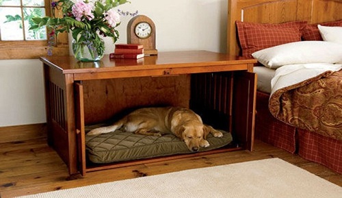 Lit pour chien