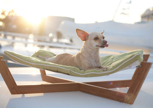 Lit en planches de bois pour un petit animal de compagnie