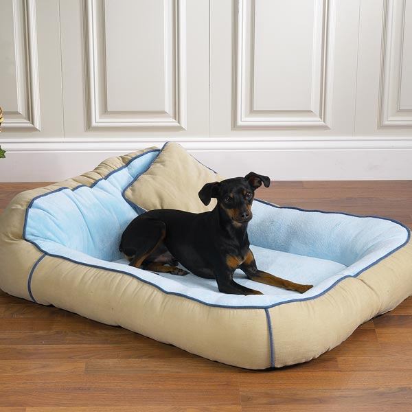 Un lit est-il nécessaire pour les chiens