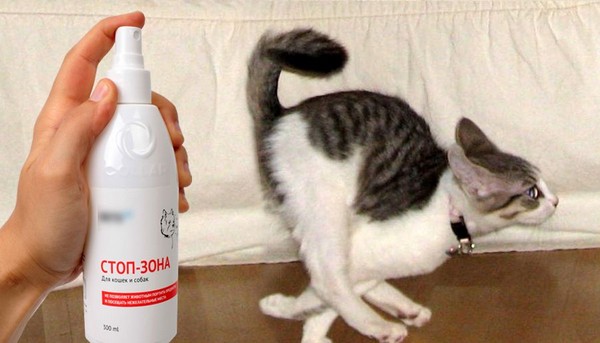 Remède que les chats craignent